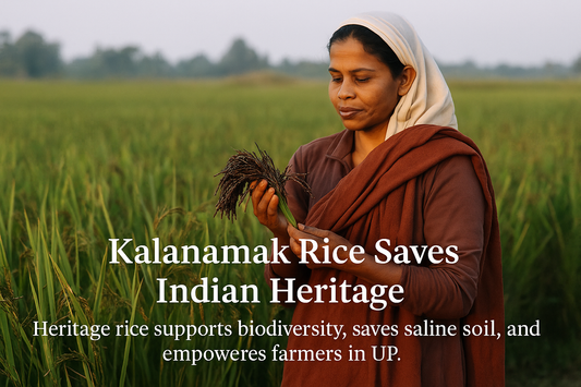 Saving a Species: Why Eating Kalanamak Is an Act of Conservation